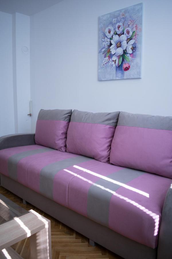 Gerardus Apartmani Vrsac Esterno foto